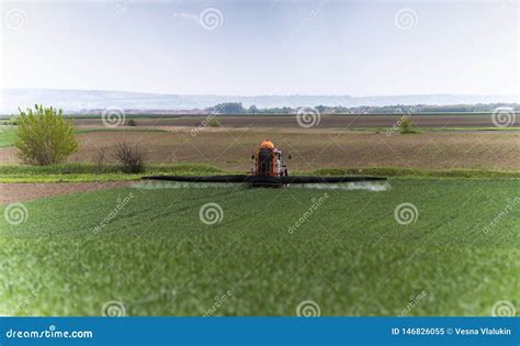 Trigo De Rociadura Del Tractor En Campo Imagen De Archivo Imagen De