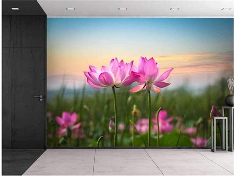 Wall26 Pink Lotus Flowers Looking Over The Sunset Wall