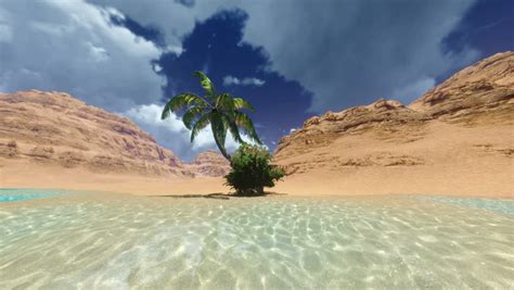 Oasis In The Sahara Stock Footage Video 985030 - Shutterstock