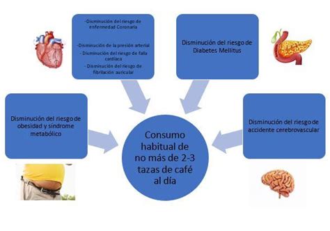 Efectos Del Café En La Salud Cardiovascular Que No Sabías Mi salud en