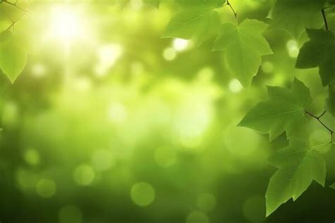 Green Environment Background Stock Photos, Images and Backgrounds for ...