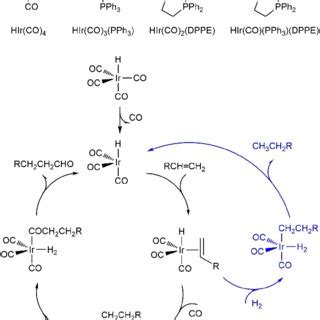 Scheme Pre Catalysts And The Reaction Mechanisms Of Hydroformylation