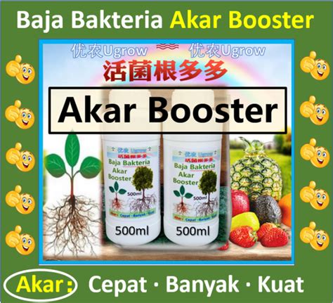 Baja Cecair Bakteria Booster Akar Tumbuhan Bacteria