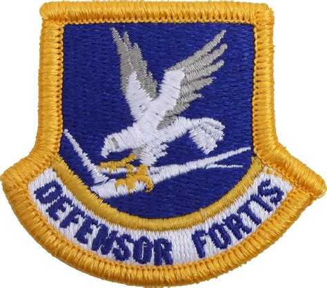 US Air Force Inspection Ready Defensor Fortis Security Forces Beret ...