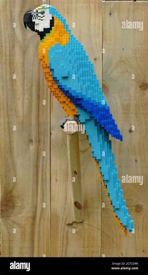 Parrot built with lego hi-res stock photography and images - Alamy