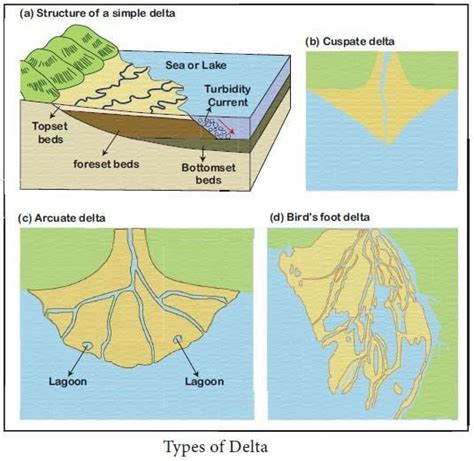 What Are Deltas And How Are They Formed Brainly In