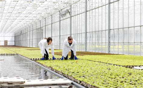 Climate Controlled Greenhouses Engfixtech