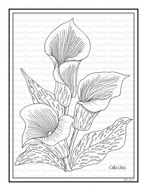 Calla Lilies Printable Instant Download Coloring Page Coloring Pages