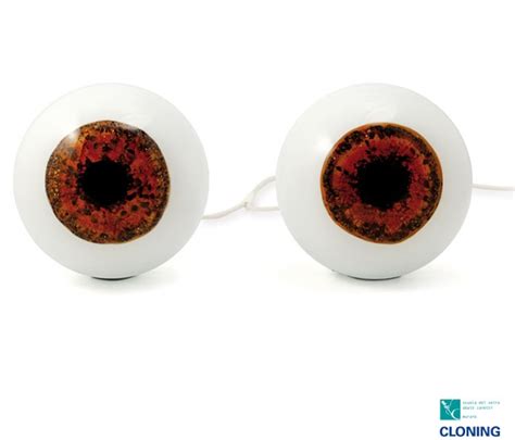 Cloned Murano Glass Eyeball Lamps Made From Your Own Eyes Eyes Eyeballs Custommade Lamp