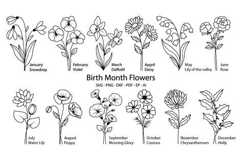 Birth Month Flowers Svg Flower Svg Graphic By Tadashop Design