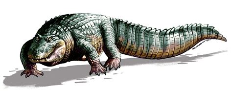 14 closely related crocodiles existed around five million years ago