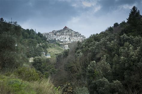 Le Arance Di San Valentino Fotografia In Puglia