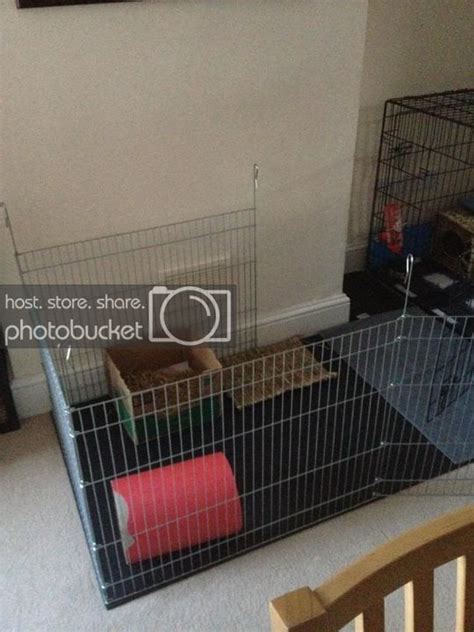 Rabbits United Forum New Homes Home Appliances Home