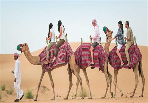 Dubaï Safari dans le désert avec balade à dos de chameau sandboard