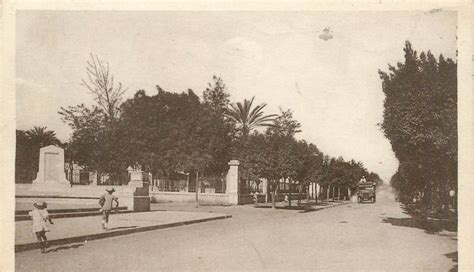 Marengo ALGERIE Marengo Carte Postale Ancienne Et Vue D Hier Et