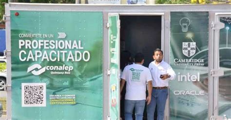 Abren Vacantes Para Trabajar En El Tren Maya