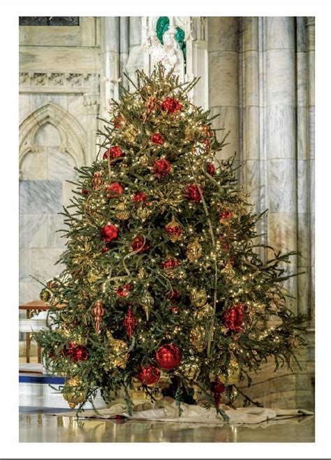 Christmas Tree inside St. Patrick's Cathedral Card