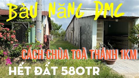 T244Đất Bàu Năng 580tr hết đất Cách Nhựa DT781 chỉ 300m YouTube