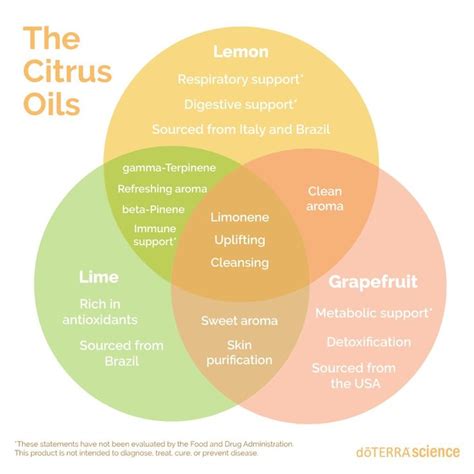 D Terra Science On Instagram Know The Differences Between Citrus Oils