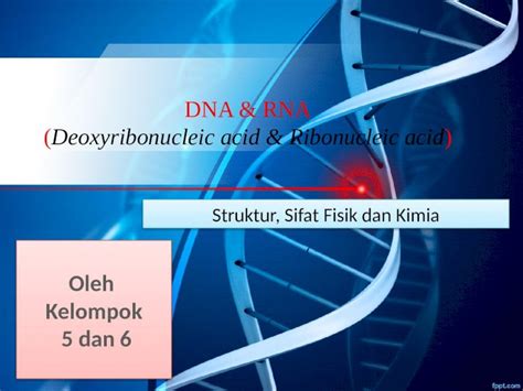 Pptx Dna Rna Copy Dokumen Tips