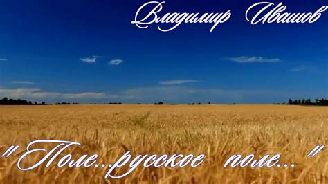ПОЛЕ, РУССКОЕ ПОЛЕ...- ВЛАДИМИР ИВАШОВ - YouTube