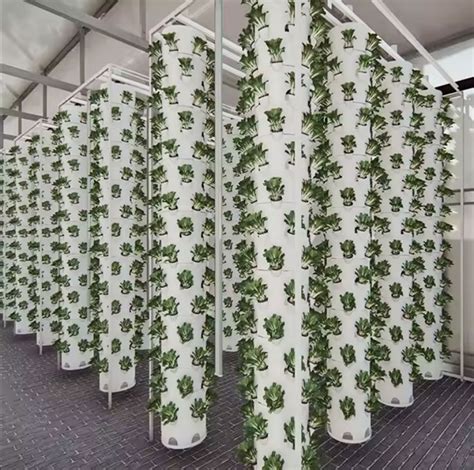 Lyine Hydroponic Tower Indoor Vertical Farming Tower Hydroponic System