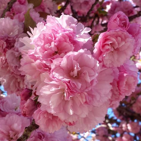 Travel Guide DC - Home