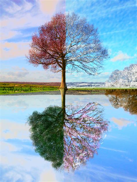 Four Seasons Tree by ATM-artwork on DeviantArt