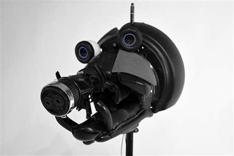 Robot Animal Zookeeper: Tim Hobbelman Creates Wild Beauty From Dead