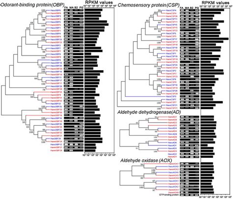 Phylogenetic Analysis Expression Profiles And Abundances Of Pheromone