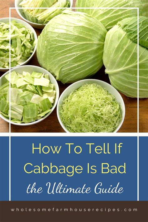 How To Tell If Cabbage Is Bad The Ultimate Guide Wholesome Farmhouse Recipes