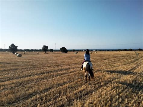 Puglia Gita A Cavallo Nel Parco Dune Costiere GetYourGuide