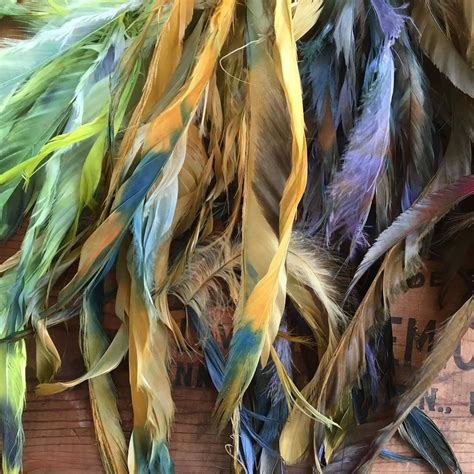 Bouquets of dyed Sebastopol feathers with 5-12"plus length #sebastopol geese #feathers#artyarn # ...