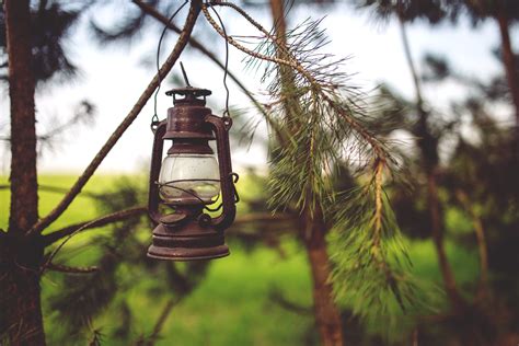 Free photo: Kerosene lamp in the woods - Abies, Lighting, Wood - Free