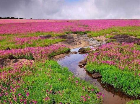beautiful places  india  traveller