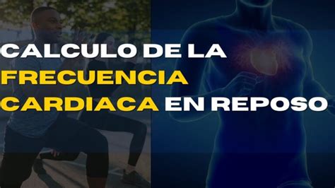 Como Calcular La Frecuencia Cardiaca En Reposo Astheha