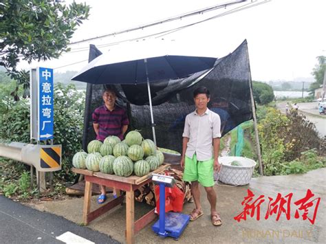 新太安社区：汛期将至，湘西小伙日产万斤西瓜愁销路 社区播报 新湖南