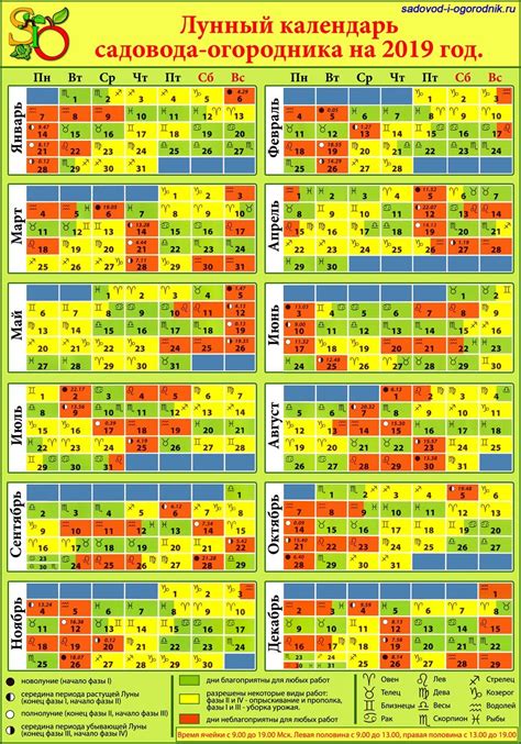 Лунный календарь 2024 года садовода и огородника