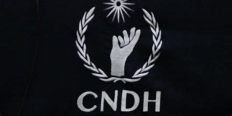 Renuncian Integrantes Del Consejo Consultivo De La Cndh El Informador