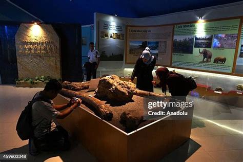 Sangiran Early Man Site Photos And Premium High Res Pictures Getty Images