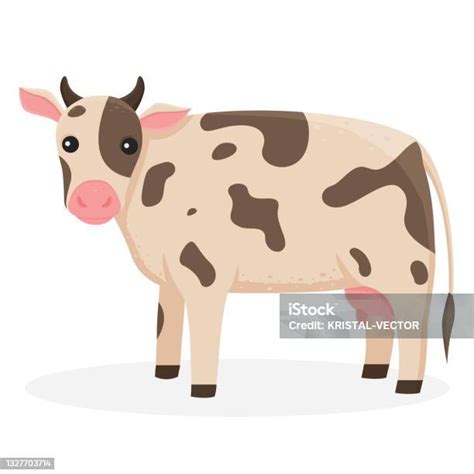 ilustrasi terisolasi seekor sapi hewan ternak  latar belakang