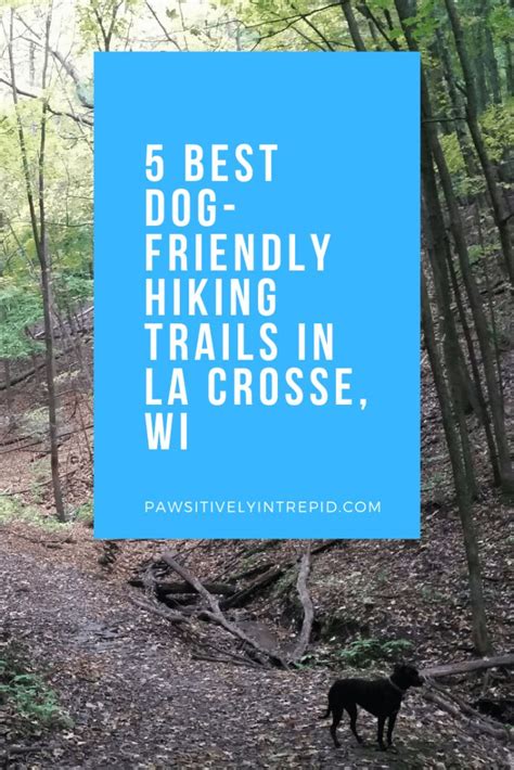 5 Best Dog Friendly Hiking Trails In La Crosse Wi Pawsitively