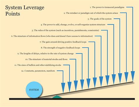 Network Development as Leverage for System Change : Interaction