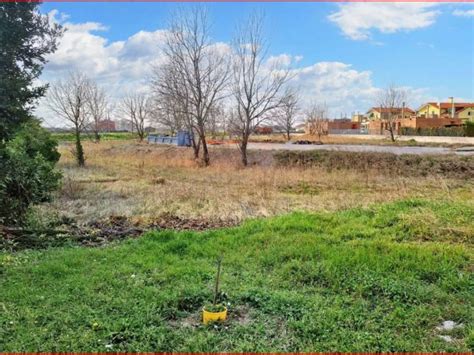 Asta Per Terreno Agricolo Via San Giuseppe Isola Verde Ca Lino