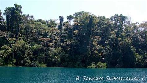 Photos of Mahatma Gandhi Marine National Park, Images and Pics Andaman Nicobar Islands ...