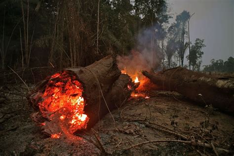 Photos The Burning Amazon Rainforest The Atlantic