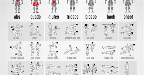 Bodyweight Exercise Chart Printable