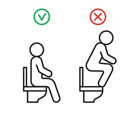 Right And Wrong Behavior In Toilet Wc Rules Sit On Seat Toilet But Not