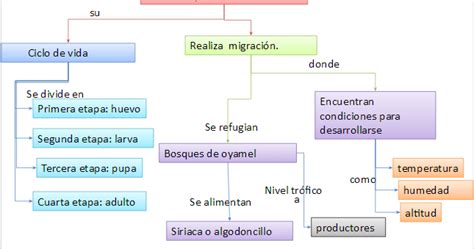 Biología IV Mapa conceptual de la practica de las Mariposas Monarca