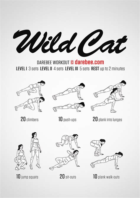 Wild Cat Workout | Cat workout, Workout, Darebee